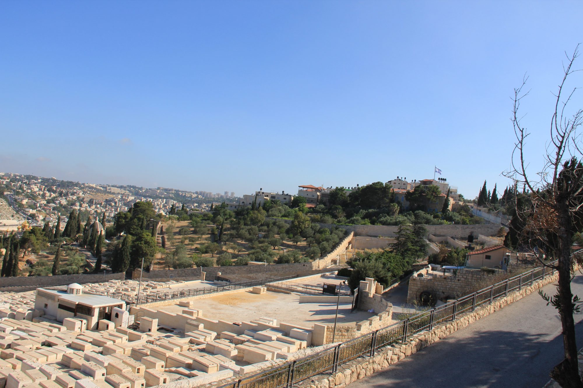 Mount of Olives 16